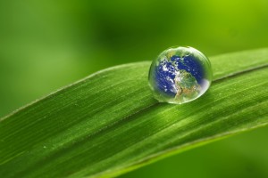 rain drop on a leaf reflecting earth concept for environmental conservation "Elements of earth image courtesy NASA"/http://www.killerasteroids.org/