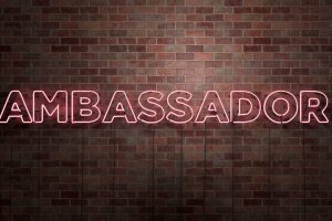 Honors Ambassador Applications Now Available!
