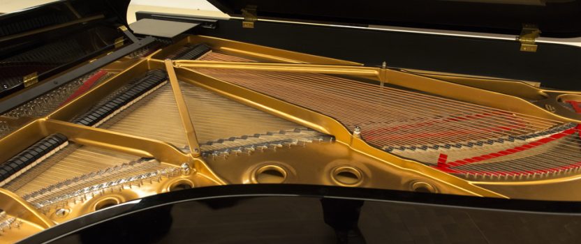 Carnegie Hall Performance